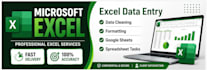 do microsoft excel data entry, data cleaning, formatting and spreadsheet