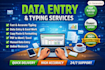 do accurate data entry excel data entery