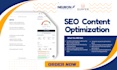 optimize content using surfer SEO and neuronwriter