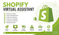 virtual assistant shopify VA personal asssistant store management