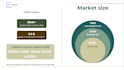 create a professional financial model