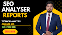 professional in SEO analysis and performance reports