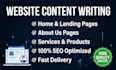 write professional website content and about us pages