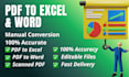 manually convert PDF to excel or word