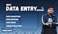 do data entry, copy paste, web scraping, data collection