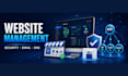 maintain and secure your website, domain and business email