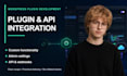 develop or customize a wordpress plugin with API integration