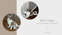 create pet ugc video ads for tiktok, instagram or facebook