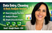 data entry, cleaning and basic analysis services