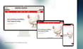 build rapid fast headless website with astro and sanity cms