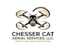 create a unique drone logo design