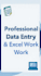 do data entry in excel and google sheets