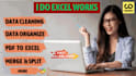 do data cleansing in excel and prepare dashboards in powerbi