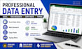 do data entry, excel and web research