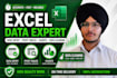 do data cleaning, data entry, pivot charts