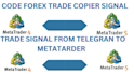 develop telegram signal copier to metatrader, ctrader, mt4 mt5 trade copier eas