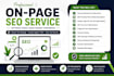 do complete website on page seo audit