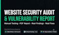 pentest your website and deliver a full vulnerability report