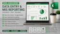 do advanced excel data entry, mis reporting, and dashboard creation