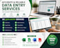 do accurate data entry, copy paste and web search
