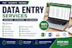 do accurate data entry, excel data entry, copy paste and web research