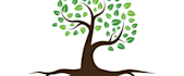 create a beautiful and professional tree logo design
