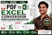 convert PDF to excel or word manually with accuracy