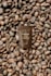create premium coffee pouch packaging