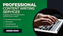 write french and english articles and blog posts