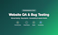 manually test your website and find bugs, UX and speed issues