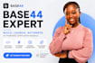 fix base44 app base44 expert bug fixing base44 development base44 to wordpress