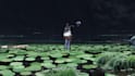 create painterly anime and fantasy illustrations