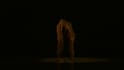 perform a professional couple ballet dance with my romantic partner