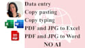 do data entry, copy pasting and transcriptions, no ai