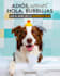 design branding, packaging and social media content