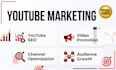 manage your youtube channel professionally