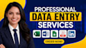 do professional data entry, excel and linkedin services