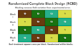 design your agricultural field trial and experiment doe