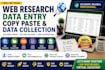 do web research, data collection and copy paste
