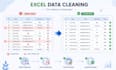 do professional excel data cleaning, formatting and validation