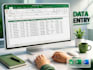 professional data entry with excel and etc