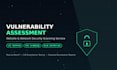 do website and network vulnerability assessment and security scan