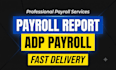 organize payroll data, calculate payroll and prepare stubs, payroll reports
