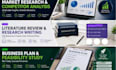 write a professional business plan and feasibility study