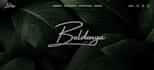 design a professional shopify website