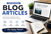 write professional blog articles