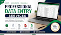 do accurate data entry exceldata entry copy paste and typing