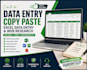 do data entry, copy paste, excel data entry and web research