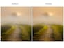 professionally edit and enhance your photos