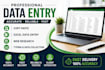 do accurate data entry, copy paste, excel and web research